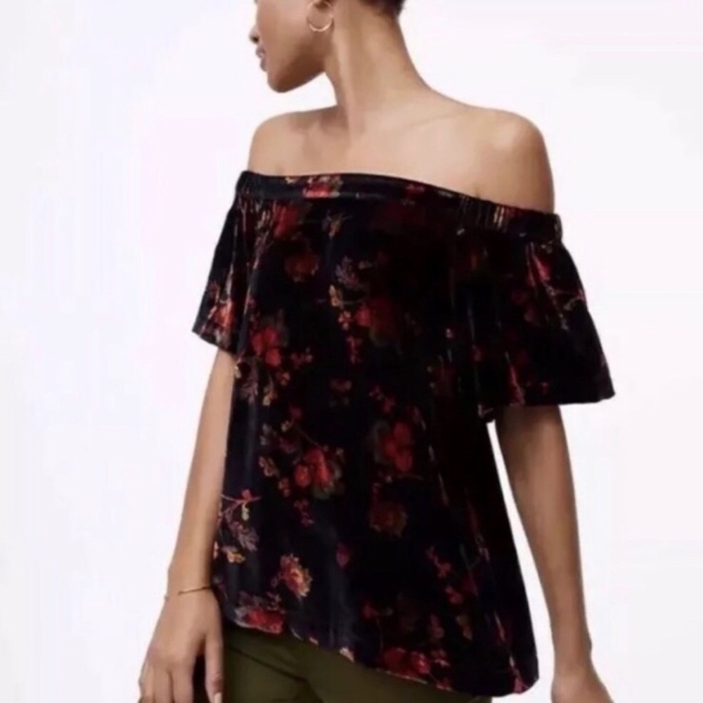 NWT VELVET LOFT FLOWER TOP